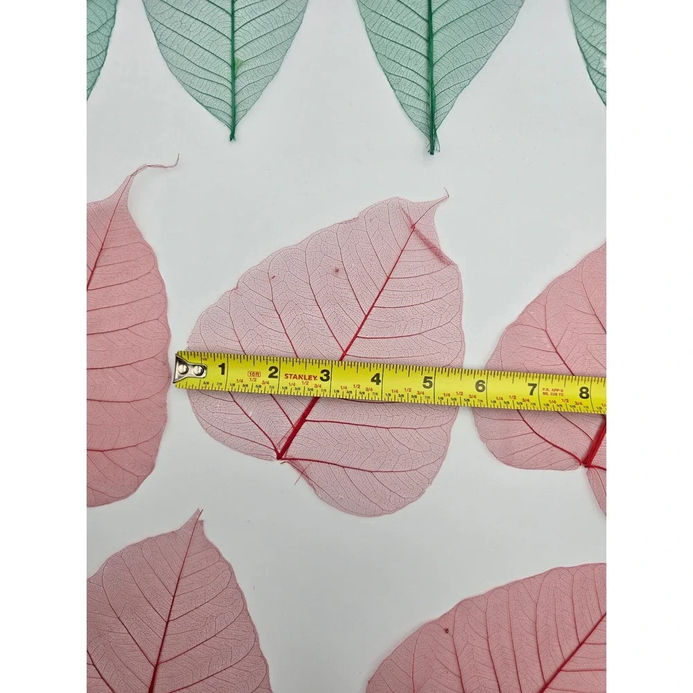 Skeleton Leaves Green Pink‎ Botanical Decor Crafting Floral Arrangements